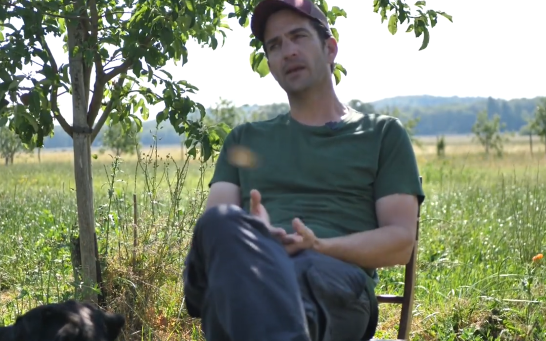 Vidéo « FAF ET VOLAILLES EN AGROFORESTERIE »